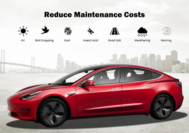 Side view of a red Tesla Model 3 with text above reading “Reduce Maintenance Costs” and icons representing UV, bird droppings, rust, insect acid, road salt, weathering, and marring.